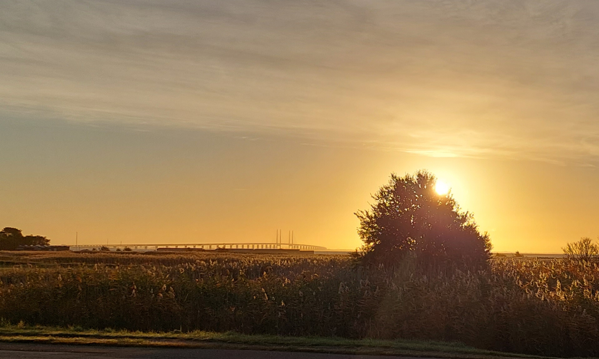 Sun on the horizon